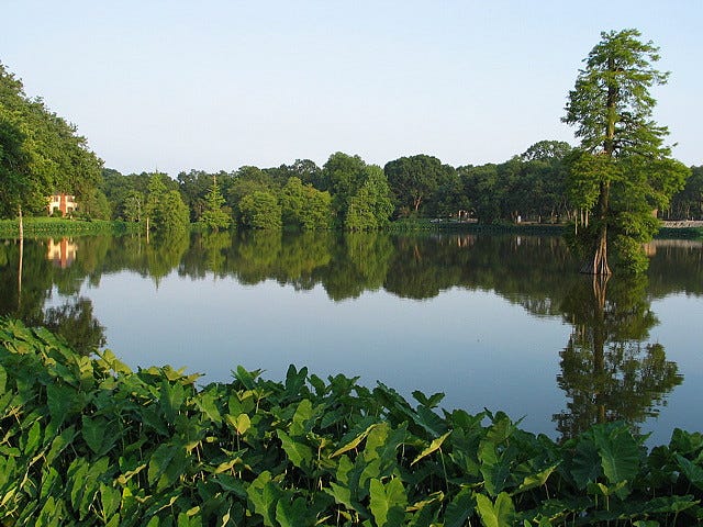 lsu lakes