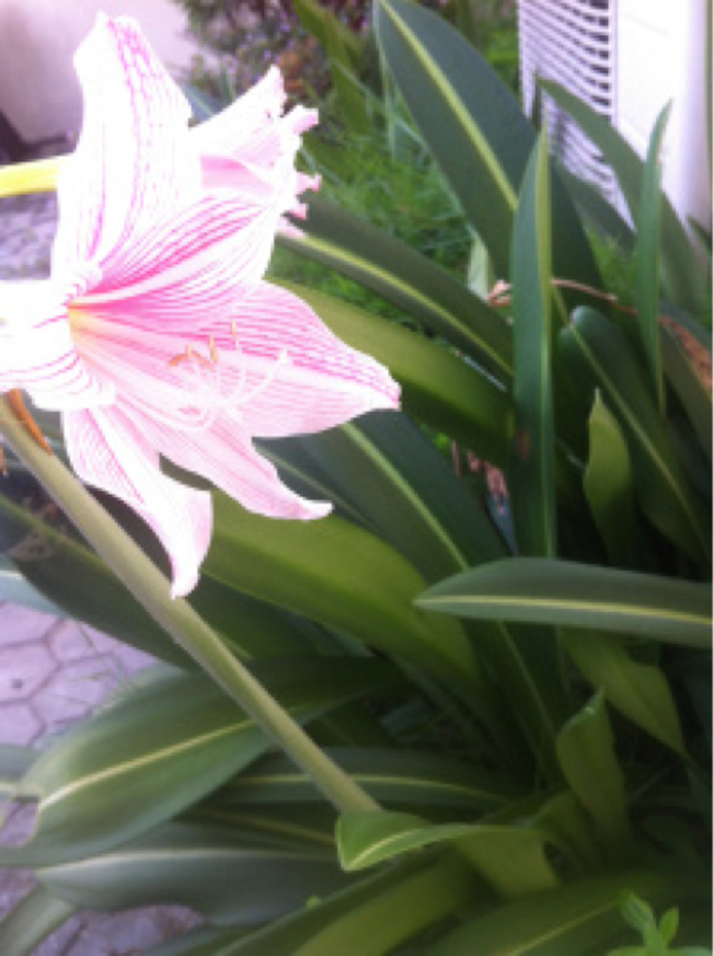 July 27, 2013 - cu_o